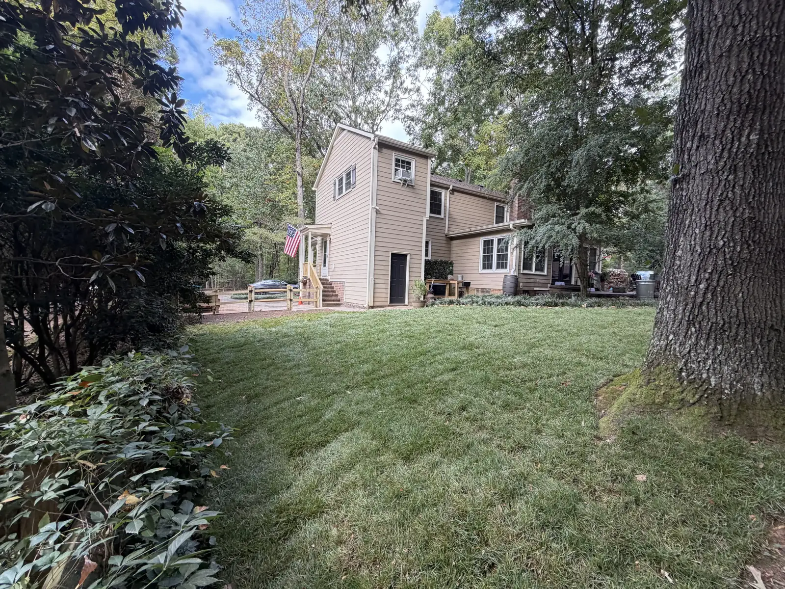 Freshly laid sod across the yard beneath mature trees