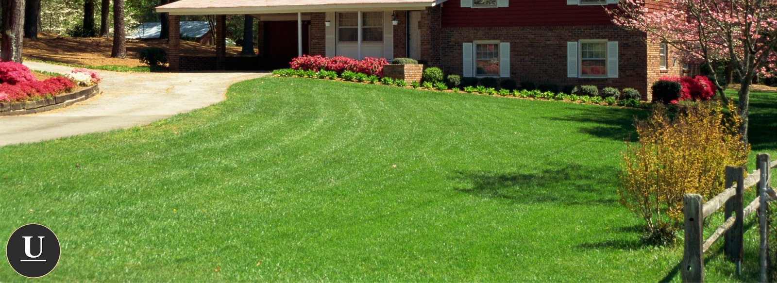 what does lime do for grass? - Urban Landscape & Construction 2 What Does Lime Do for Grass Lawn