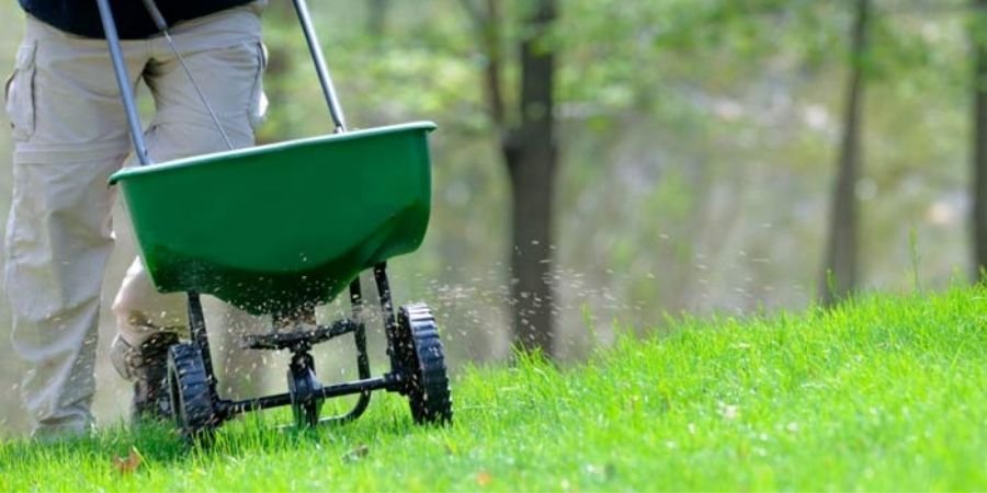 When-and-how-to-lime-your-lawn-in-charlotte-nc