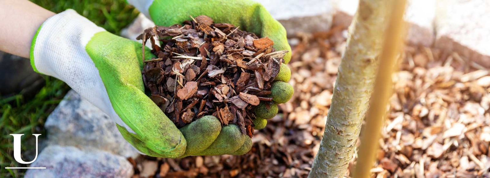 Urban Landscape & Construction - Installing Mulch in Charlotte NC