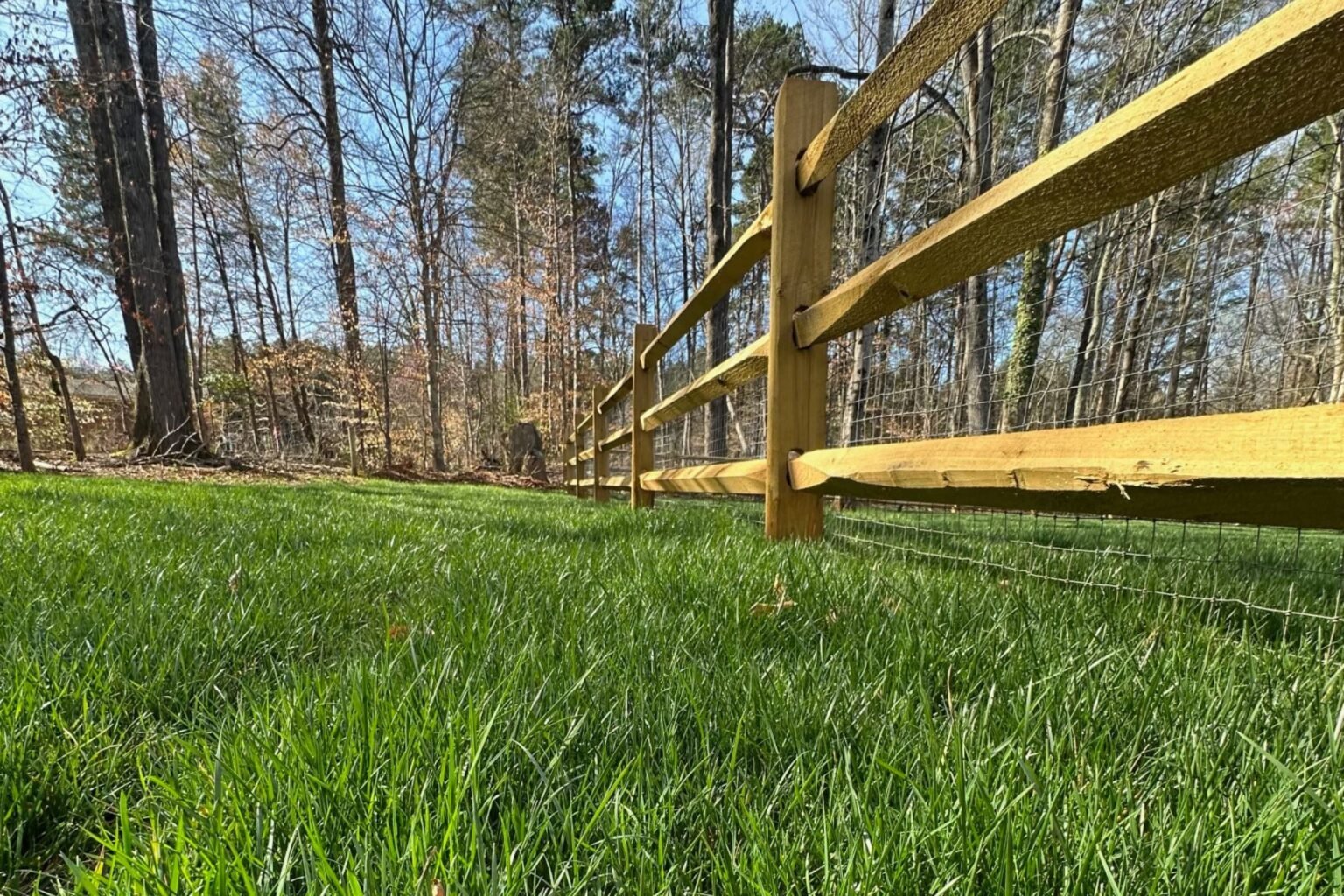 Close-up of thick green grass beside a split-rail fence and wooded property edge