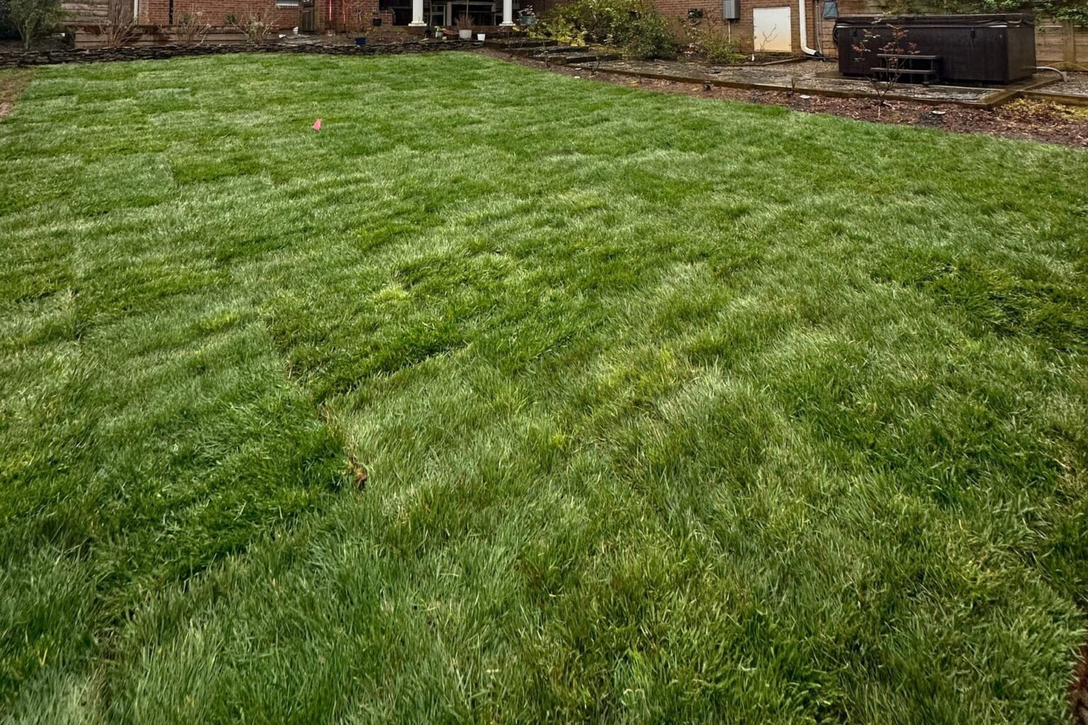 Backyard Renewal - Project Urban Landscape & Construction