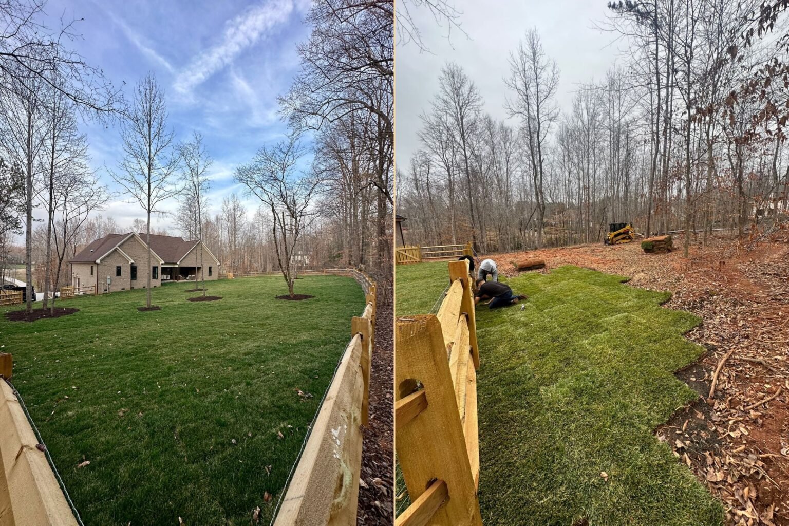 Split-screen view of completed green lawn and workers installing sod along the wooded fence line