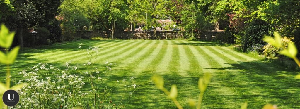 Weed Control in charlotte nc (1)