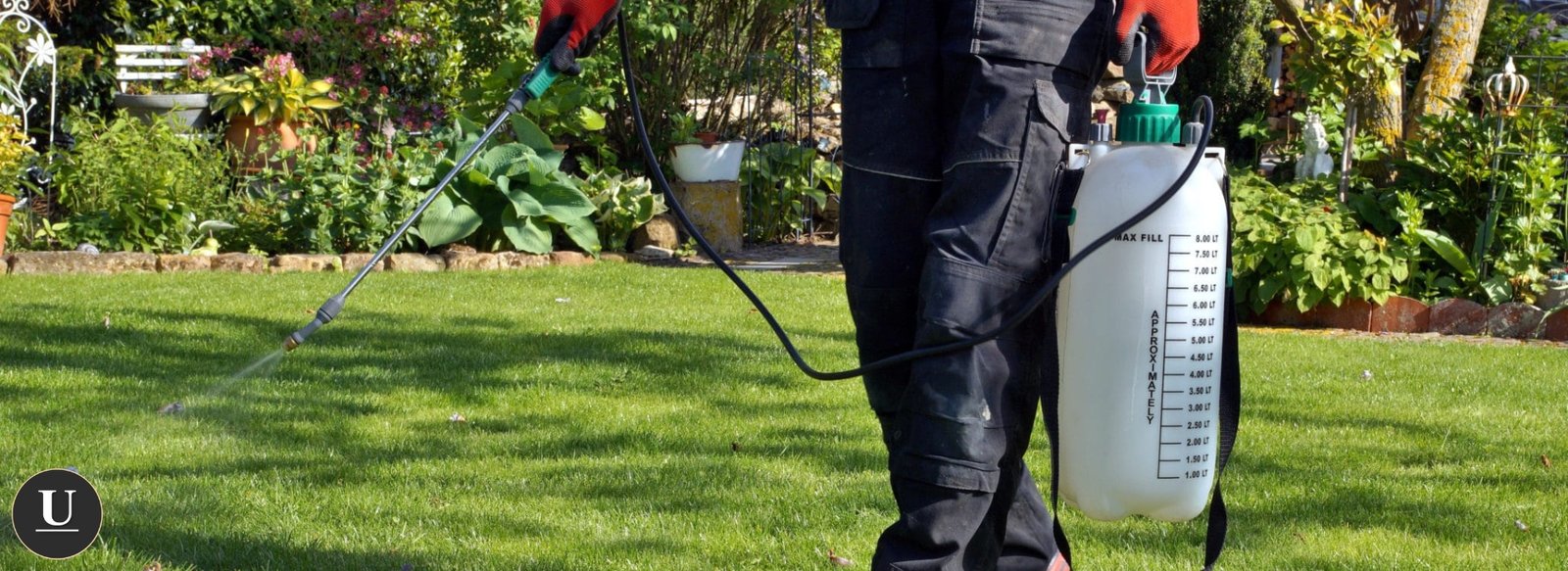 Weed Control in charlotte nc (3)