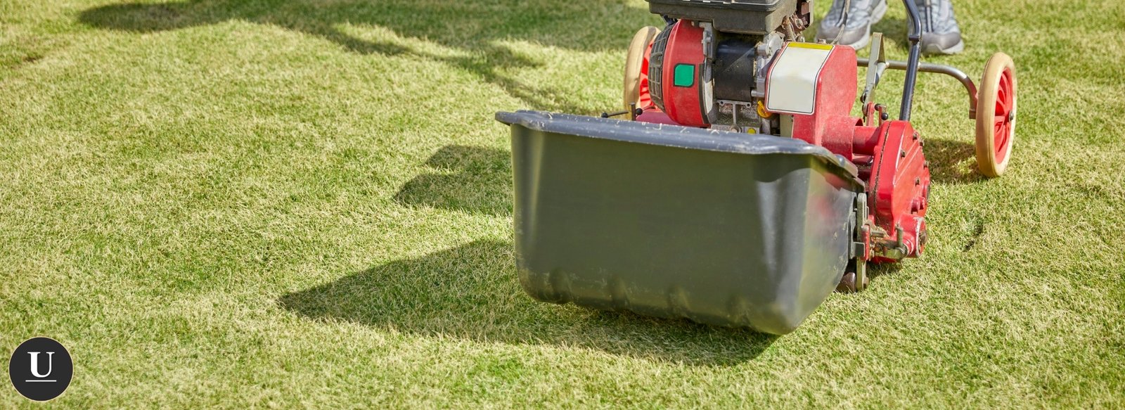 Lawn overseeding in charlotte NC