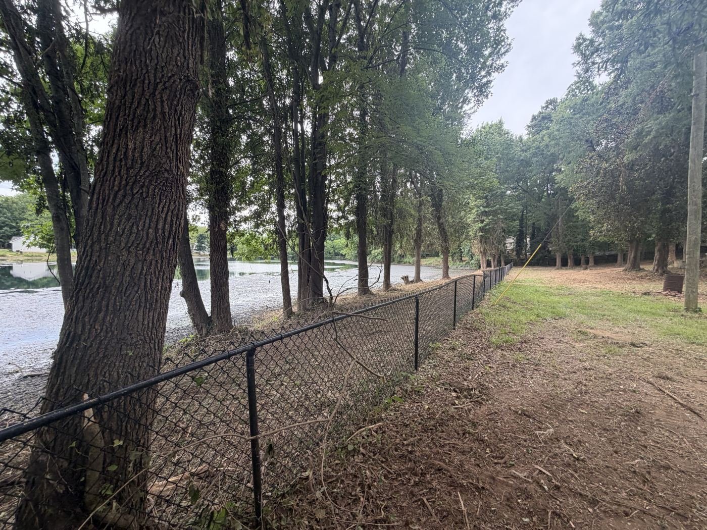 Cleared ground along the existing fence beside water with mature trees retained