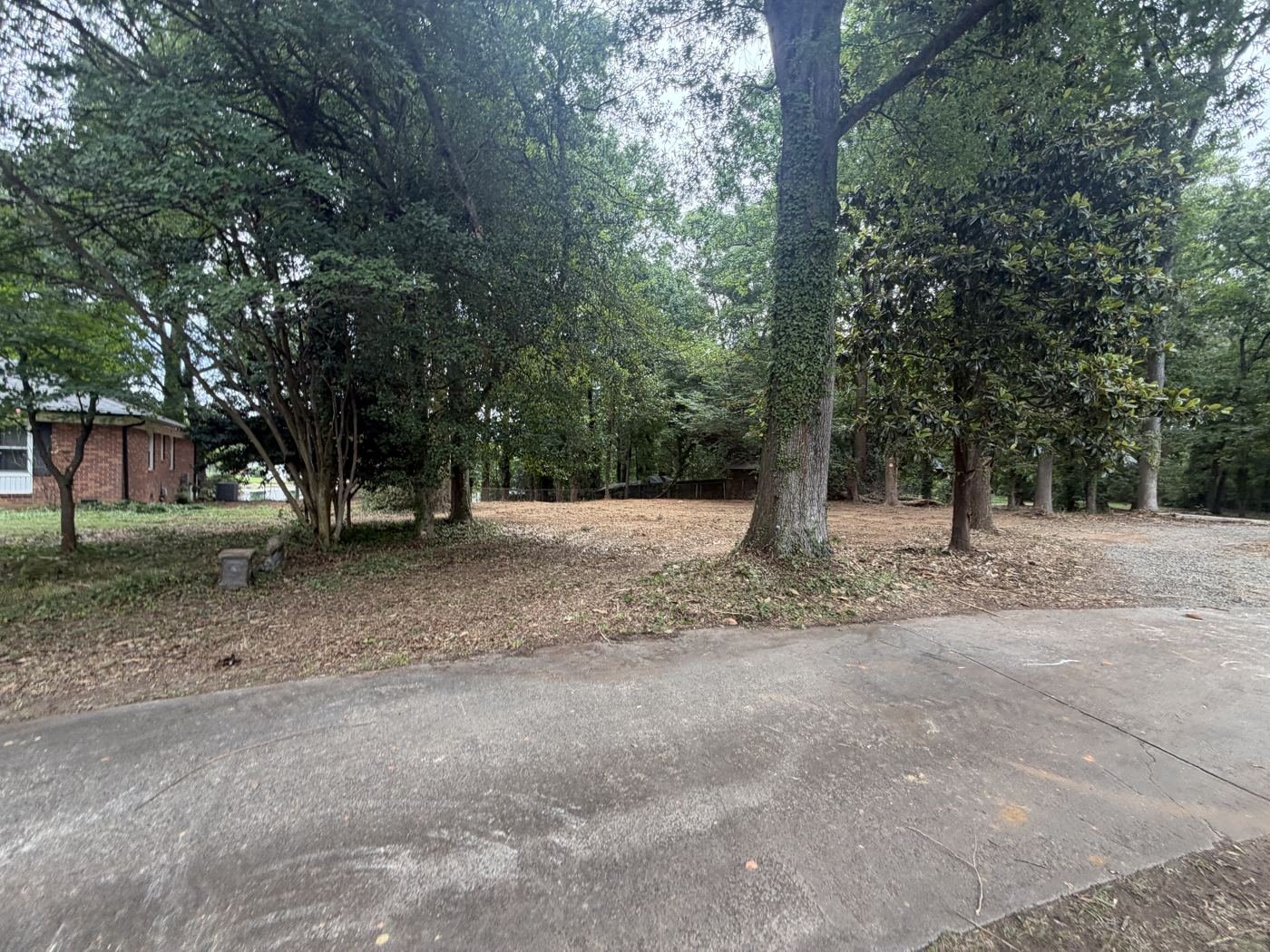 Cleared wooded yard beside the existing driveway in Mint Hill