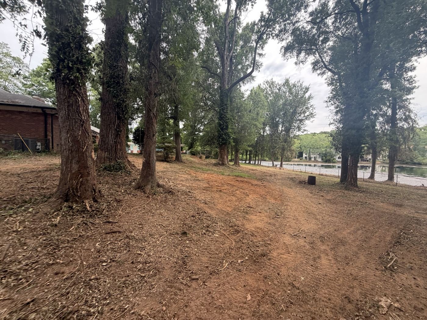 Selective Land Clearing & Brush Removal in Mint Hill, NC 2 Cleared ground between mature trees beside the fence in Mint Hill