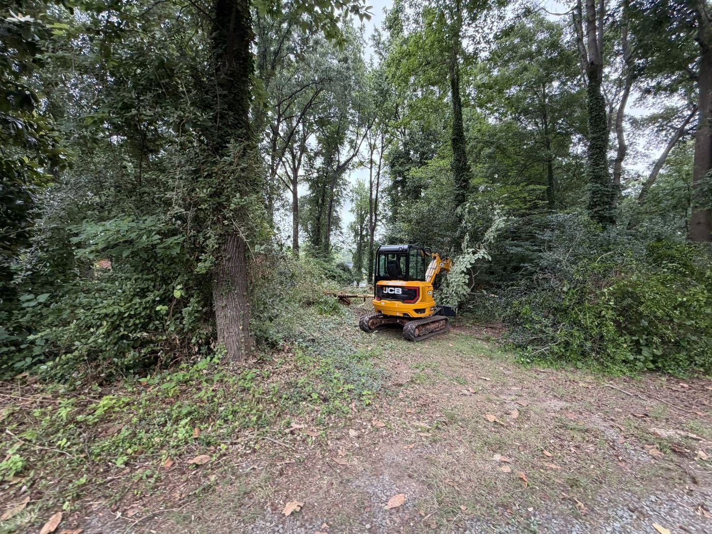 Mini excavator along a partially opened path through brush in Mint Hill