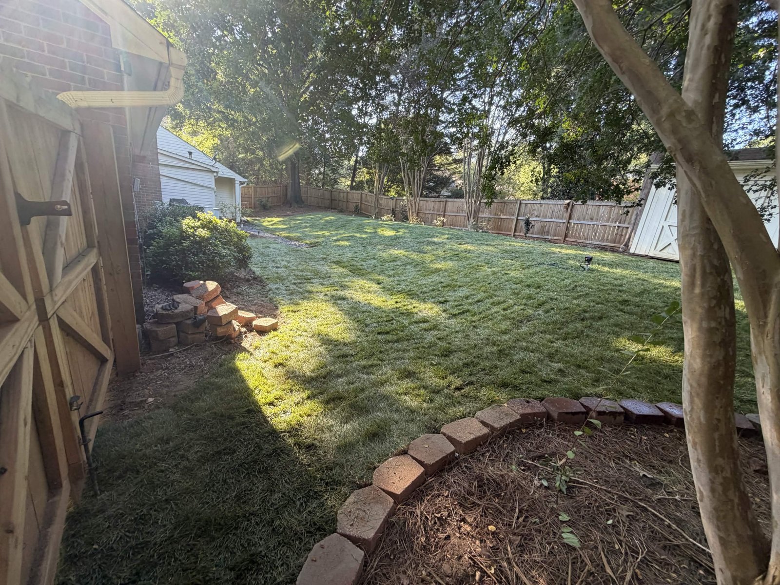 Renovated backyard lawn viewed from near the side gate
