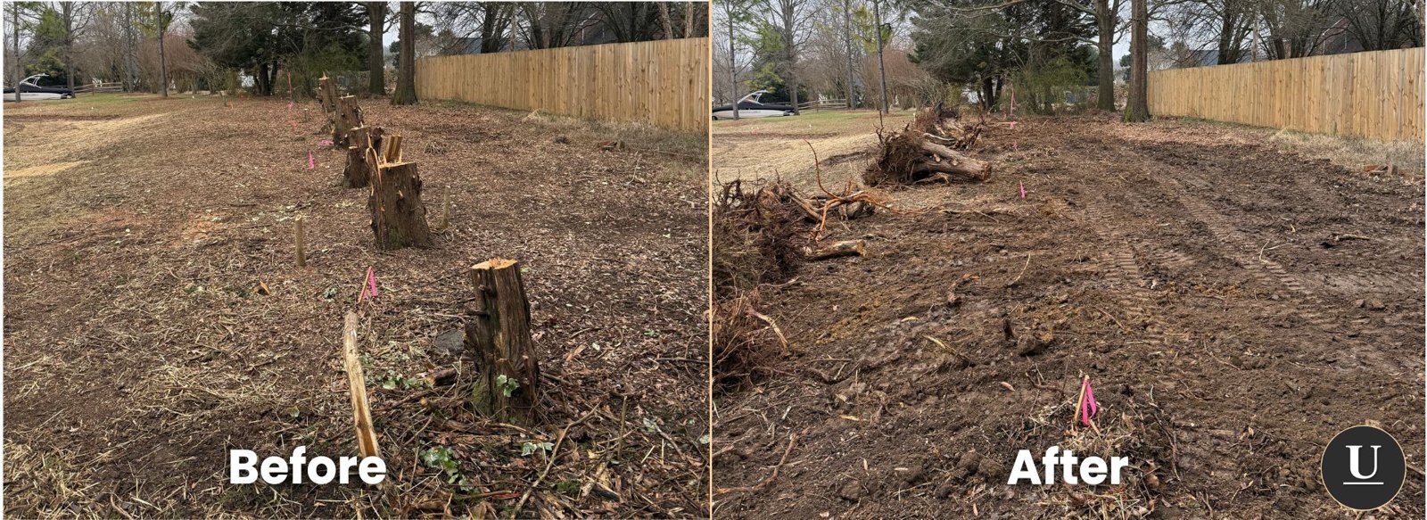 Before-and-after comparison of side-yard stumps and the excavated area after removal